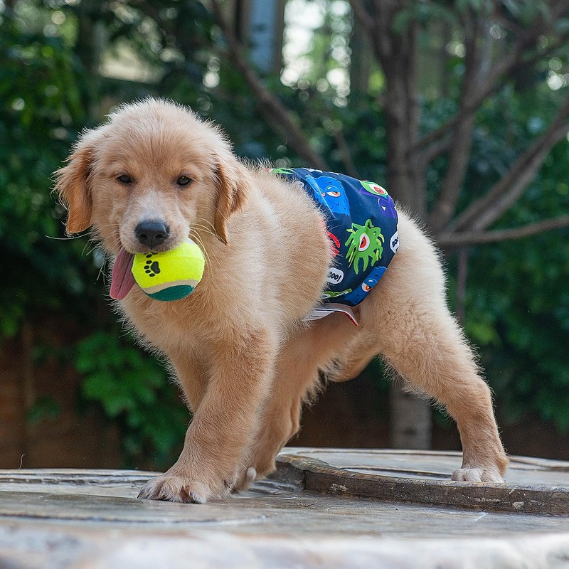 CuteBone Dog Belly Bands for Male Dogs Wraps Washable Doggie