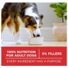 Undisclosed Purina ONE Chicken and Rice Formula Dry Dog Food