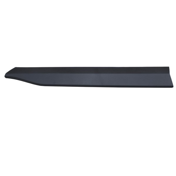 ApplianPar Front Right Passenger Side Door Lower Trim Molding Garnish
