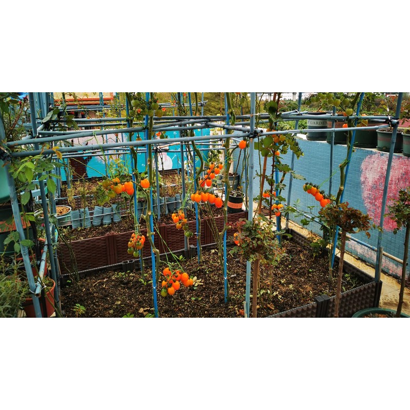 10QT Organic Perlite Horticultural Soil Amendment for Plants and Enhanced