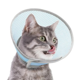 Supet Cat Cone Collar Soft Comfortable Adjustable Waterproof cat recovery collar After Surgery to Stop Licking and Scratch, Alternative to Plastic Elizabeth Head Neck Cone (Light Blue L)