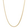 Piena Necklace, Men's/Women's, Surgical Stainless Steel Snake Chain, Simple, Hypoallergenic,