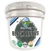 Black Lentils | 25 LBS | Emergency Food Storage Bucket