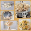 4000+ Dried Babys Breath Flowers Bulk - 17" Ivory White
