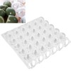 Eggshell and Egg Tray Model Safe Prevent Leakage Eggs Making