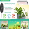 LBW Desk Grow Light, Full Spectrum Plant Light for Indoor