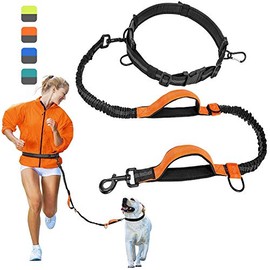 PUBAMALL Correa de Perro para Correr sin Manos - Correa de Puenting Duradera, Costuras Reflectantes - Correa de Cintura Ajustable Que Absorbe los choques, para Correr, Trotar, Caminar (Naranja)