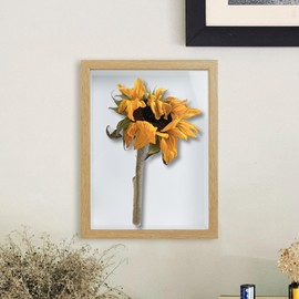 Picture Frames 8X6 Photo Frame - Shadow Boxes Wooden for Crafts 3D Deep Display Box with Mount for Flowers Medals Tabletop and Wall Hanging (Wood431,Depth 5cm)