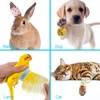 Bandage Wrap, 12Pcs Sweatproof and Waterproof Cute Vet Wrap, Elastic