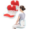 curble Wider(Standard Wide) 2PACK – Ergonomic Lower Back Chair Support,