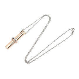 Ashes Necklace 316L Stainless Steel Oxidation Resistant Memorial Cremation Jewelry for Pet