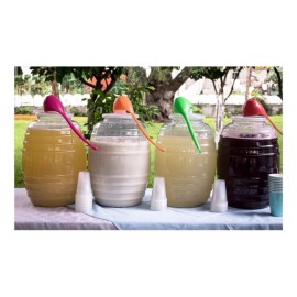 Codalis 1 Barril Vitrolero 20 Litros Con Cucharón Regalo Fiesta