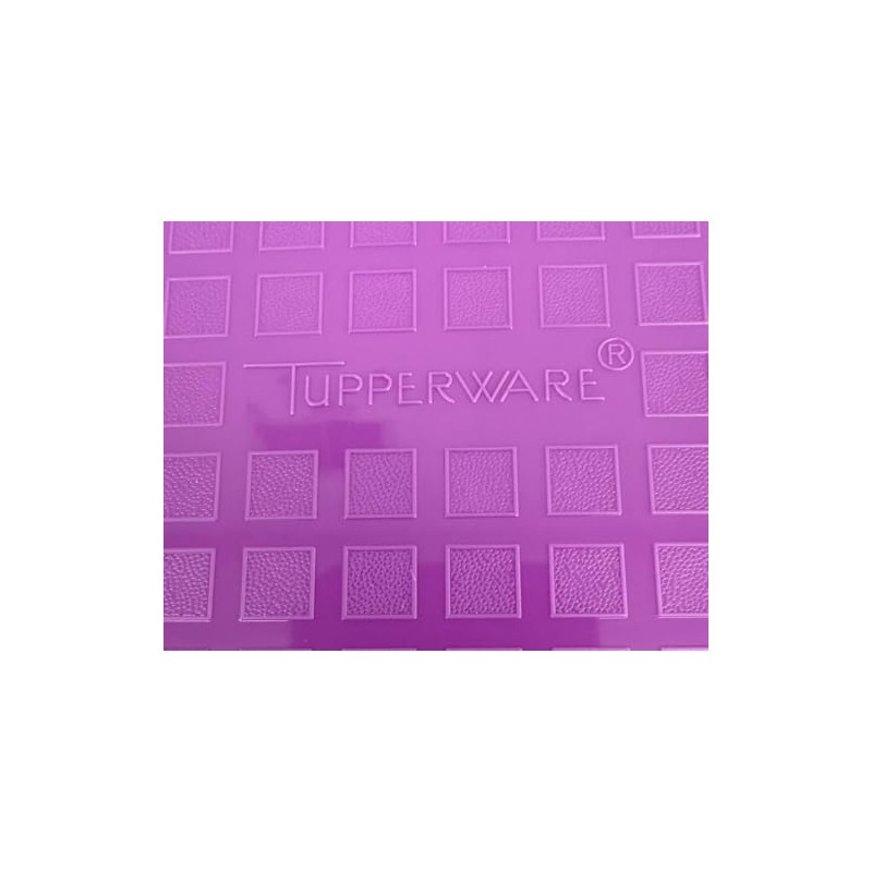 Tupperware Large Season Serve Marinating Container with Mini Sifter in