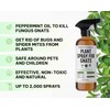 Kate's Garden Plant Spray for Insects & Getting Rid of