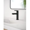 Moen Meena Matte Black One-Handle Single Hole Modern Bathroom Sink
