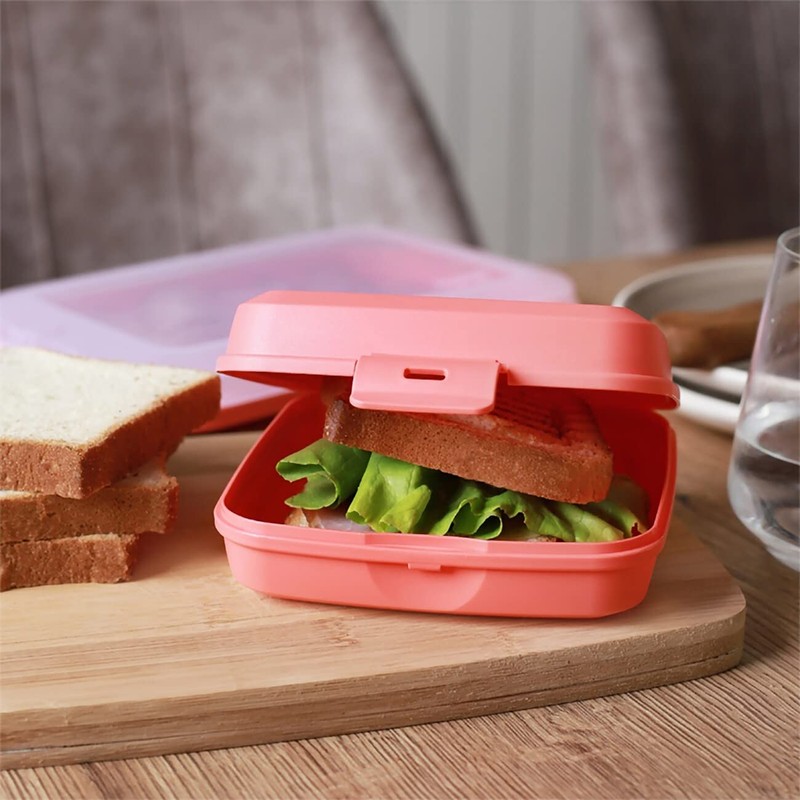 Engelland 2 x Lunch Box Salmon Plastic BPA Free Lunch