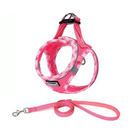 DORAMIO Step-in Dog Harness and Leash Set, No-Chock Soft Mesh Reflective Breathable Easy Walk Lightweight Vest Harnesses with Safety Buckle for Small Medium Dogs, Cats, Puppies (M, Fuchsia)