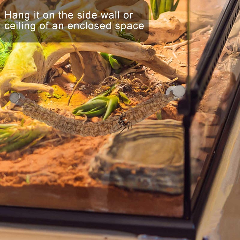 3pcs Jumping Spider Rope Bridge with Magnets, Braided Jumping Spider