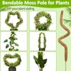 FGXY 4pcs Flexibler Moosstab für Pflanzenstütze für Kletterpflanzen im Innenbereich,