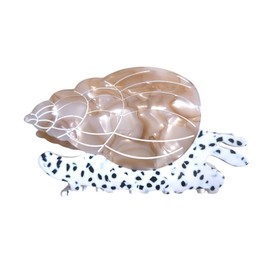 Novelty Sea Snail Hair Clip,Cute Acetate Claw Clips,Big Conch Hair Clips for Women,Khaki