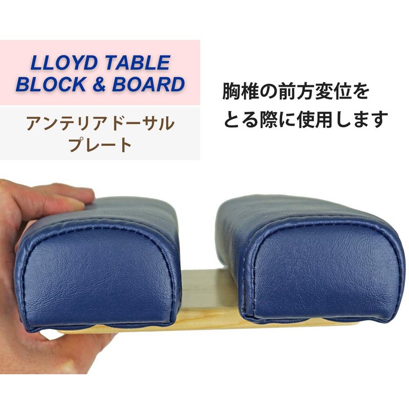 LLOYD [Lloyd Table] Anteria Dorsal Plate is a plate used