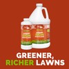 Bloom City's Organic Liquid Iron - Liquid Iron for Lawn