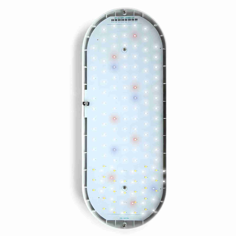 Small Tabletop Plant Light 10W 4 Brightness Adjustments Full Spectrum