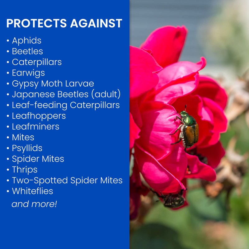 BioAdvanced 3-In-1 Insect, Disease and Mite Control, Fungicide, Ready-to-Spray, 32