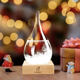 Storm Glass Weather Predictor, Christmas Gifts for Women Unique Gifts for Men, Weather Glass Home/Office Desk Decorations,Weather Gifts for Men Women