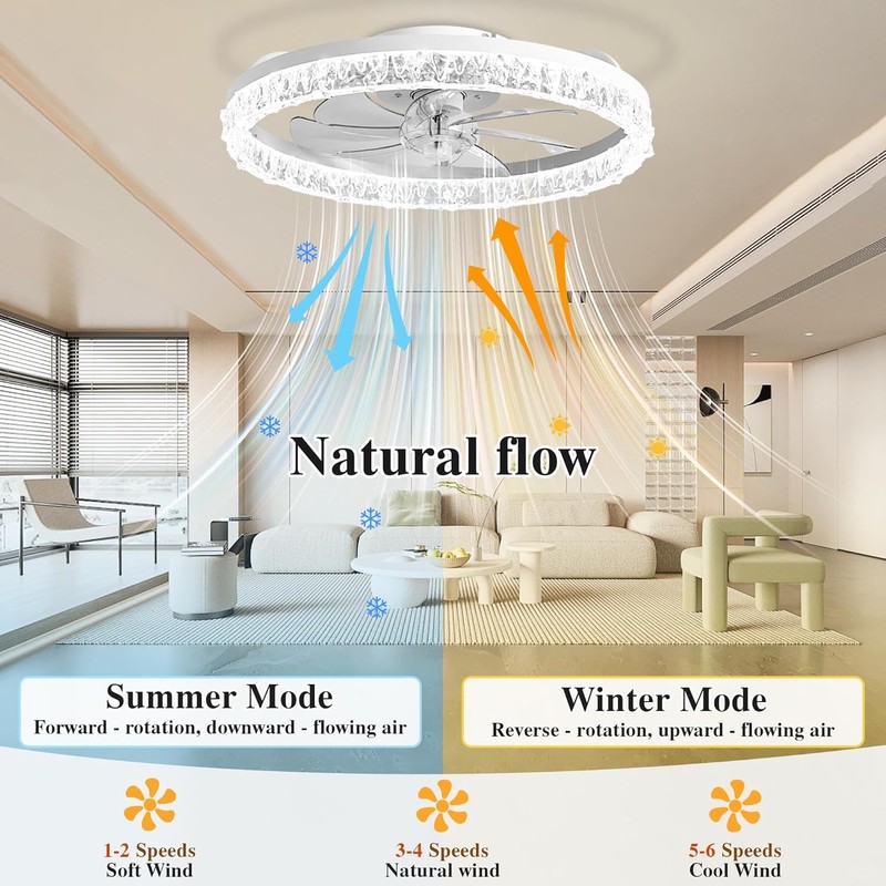 DIAMONDFORGE Ceiling Fans with Lights and Remote Fandelier - 20"