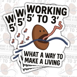 3 Pcs Working 5' to 3' Sticker, Funny DNA Replication Biology Pun Vinyl Sticker 3 Inches Waterproof for Laptop, Notebook, Tumbler, Lab Equipment, Gift for Scientists and Biology Students