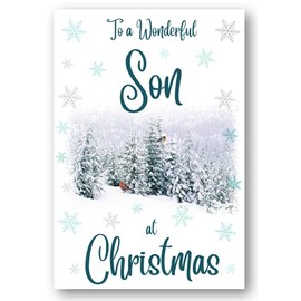 Second Ave Son Christmas Robin Winter Scene Holiday Festive Greetings Card