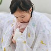 aden + anais Eiden and Anais Year of Snake Swaddle,