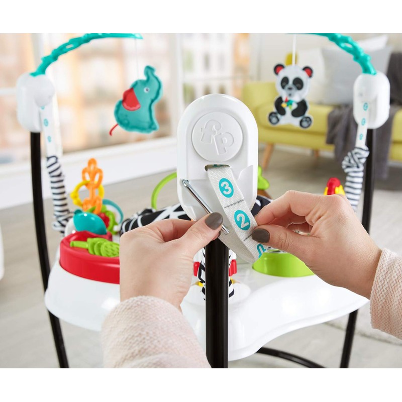 Fisher-Price Baby Bouncer Pink Petals Jumperoo Musical Activity Center with