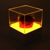 Rose Night Light Romantic Small USB Charging Soft Brightness Decoration