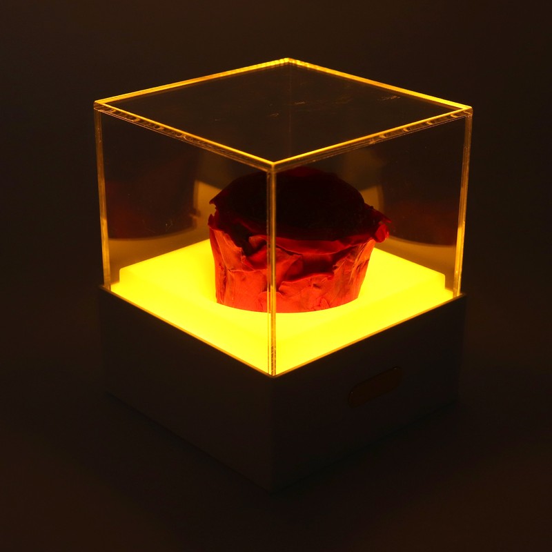 Rose Night Light Romantic Small USB Charging Soft Brightness Decoration