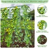 Tetutor Cucumber Trellis for Raised Beds, 63 x 45 Inch