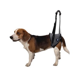 KAJILE Dog Lifting Harness, Dog Support Harness for Hind Limbs and Hips, Pet Recovery Walking Training, Lifting Belt for Elderly Injured Disabled Dogs (Grey, M)