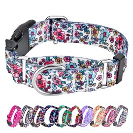 Martingale Collar for Dogs, Adjustable Soft Nylon Dog Collars with Special Design Cute Patterns for Small Medium Large Dog