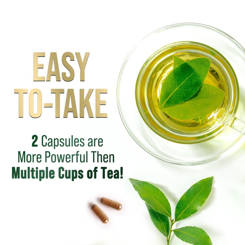 Green Tea Extract Capsules - 3X Strength Green Tea Extract