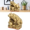 Brass Tiger Statue Sturdy Durable Brass Attract Wealth Fortune Easy