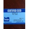 Kentucky 31 K31 Tall Fescue Grass Seed by Eretz -