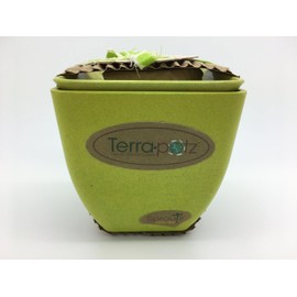 All Natural 10 oz. Best Terra.Potz™ 100% Soy Candles in Biodegradable Planter Pots - Sproutz GRO Kit (Green GRO Kit)