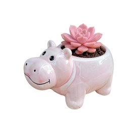 Cuteforyou Succulent Pots,Cute Animal Shaped Cartoon Ceramic Succulent Cactus Flower Planters -Plant Not Included，Pink Hippo