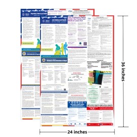 2025 Florida State and Federal Labor Laws Poster - OSHA Compliant UV Waterproof Laminated 24" x 36" English and Spanish Version 2PCS Folded - All in One Compliance Posting