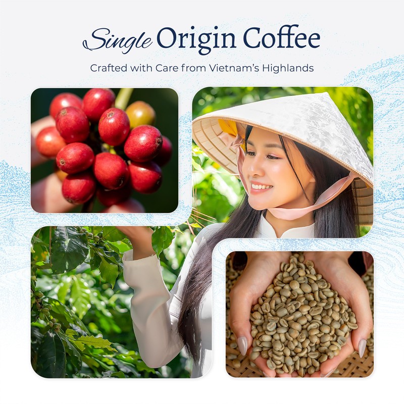 Blu Ore Premium Vietnamese Coffee Pods - Medium Roast -