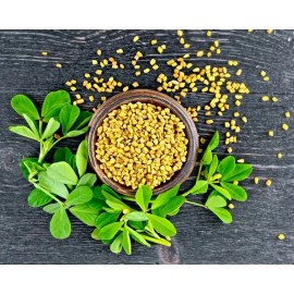 Homegrown Fenugreek HEIRLOOM 100+ seeds Premium strain 100% Organic Grown in USA