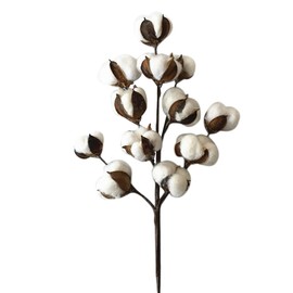 50cm Cotton Stems Decoration 12 Cotton Bolls Cotton Stalks Branch for Home Decor Wedding Centerpiece Farmhouse Decoration