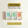 Twinings Superblends Detox - Lemon, Ginger & Burdock Root Herbal