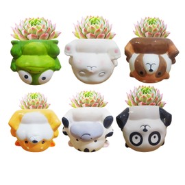 Cuteforyou Succulent Planters,Cute Handstand Animal Shaped Ceramic Succulent Cactus Flower Pot,Pencil Holders,Desk Accessories, Makeup Brush Storage Stand (Orange Dog)